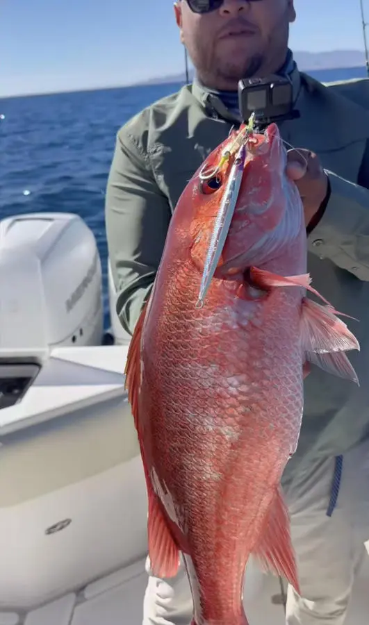 Lancha con pasajeros en Isla Espiritu Santo cerca de montaña