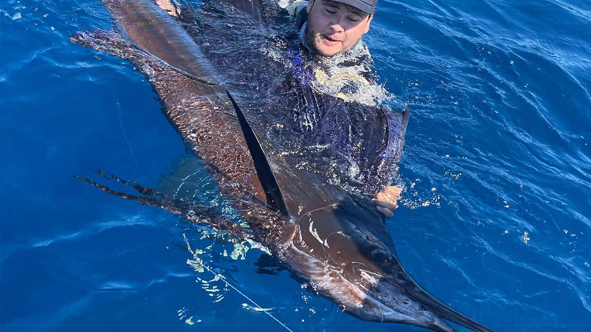 Hombre en el agua sosteniendo un pez vela