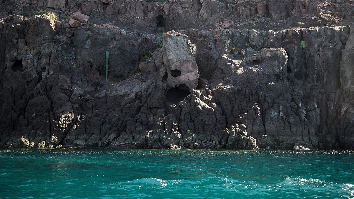 Foto de La Mascara en la Isla Espiritu Santo