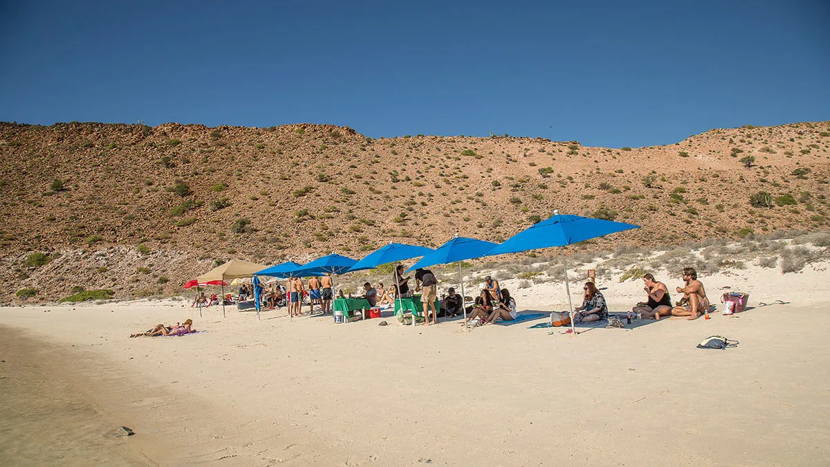 Personas conviviendo en la playa de la Isla Espiritu Santo
