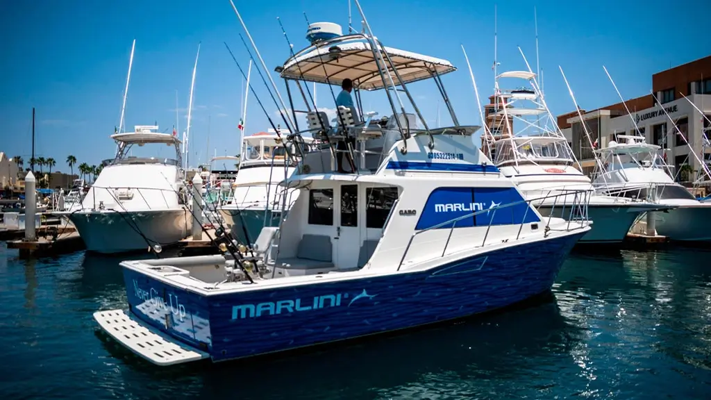 Embarcacion Never Give Up de Cabo Marlini en el muelle
