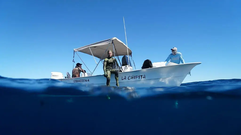 Embarcacion Panga 23 ″ haciendo pesca
